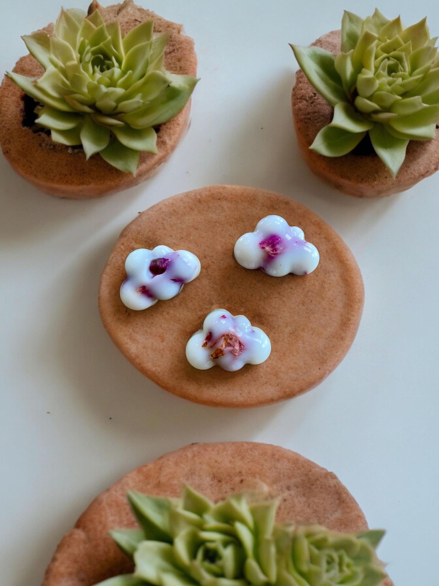 Nuage de Fraîcheur (x10) - Parfum au choix